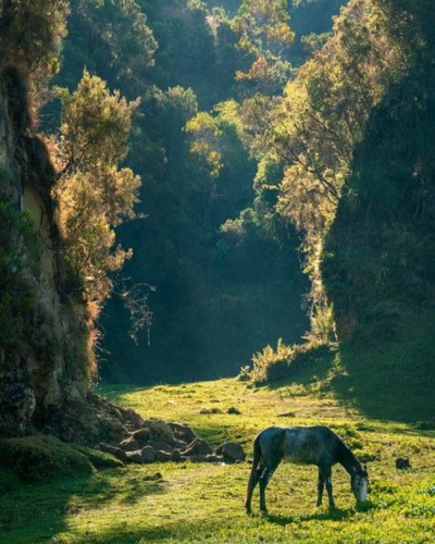 1-Day Discover Wenchi Crater: Nature & Volcano Lake gallery image
