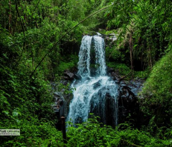 3-Day Ethiopia Awash National Park Wildlife Tour gallery image
