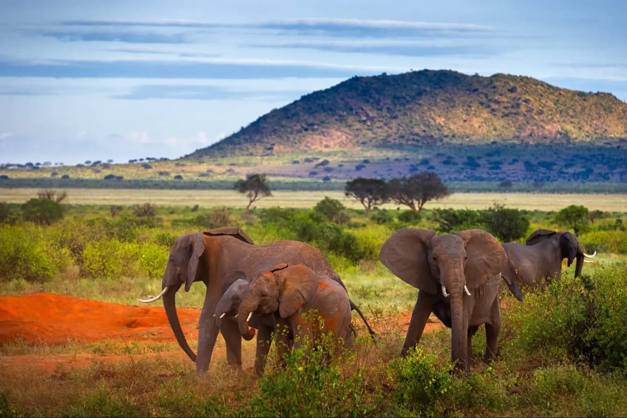 Tour Gallery Image 1