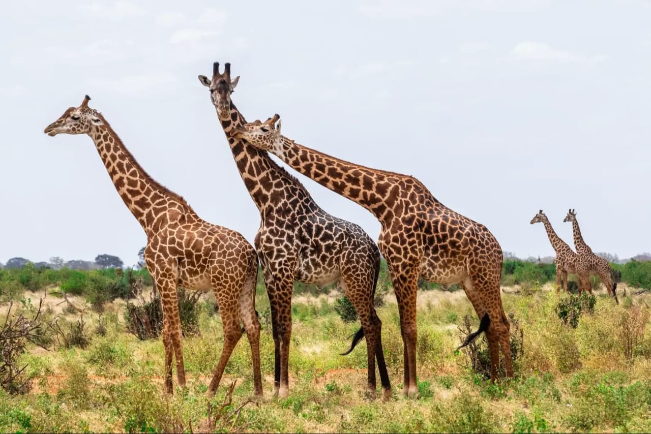 Tour Gallery Image 3