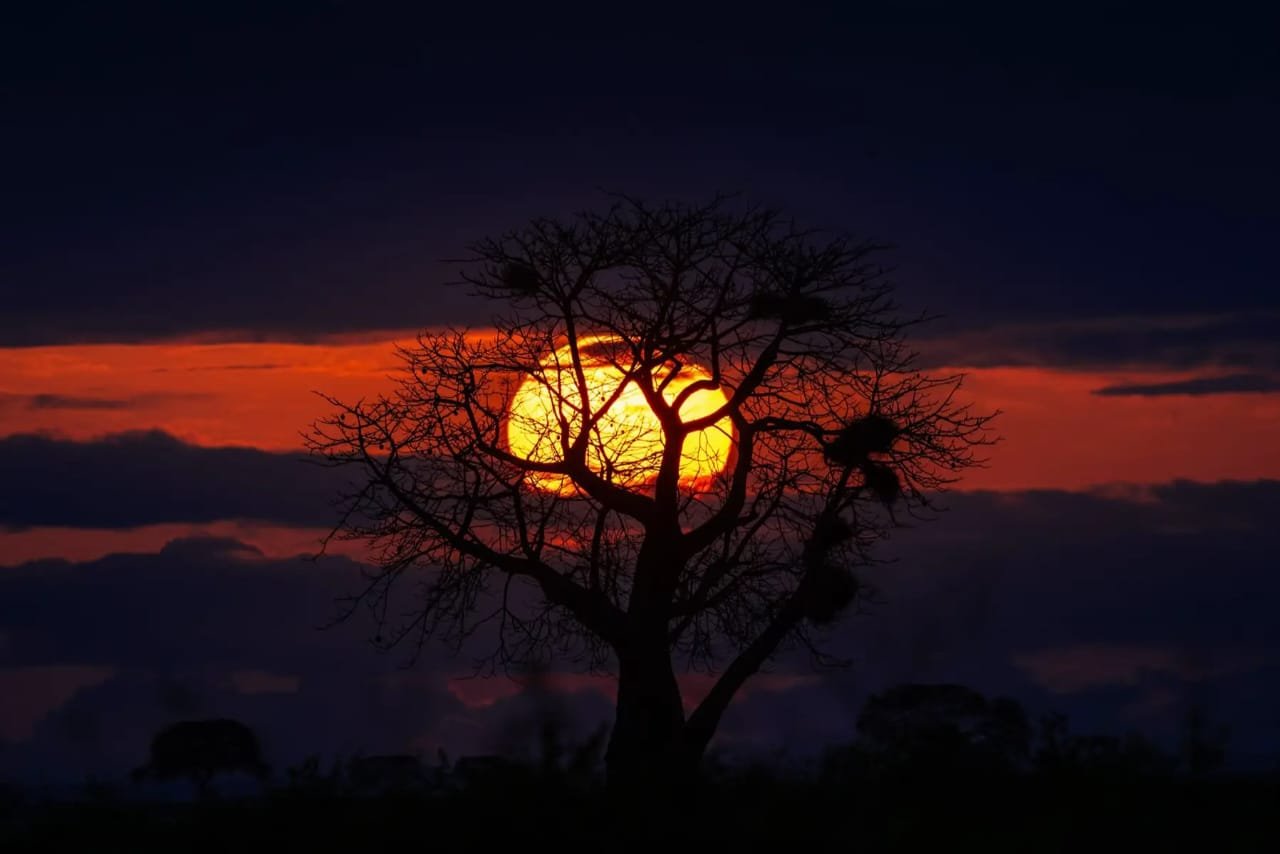 Tour Gallery Image 4