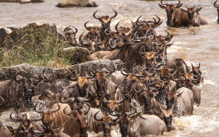5-Day Explore Tanzania's Iconic Parks with Acatree Tour gallery image