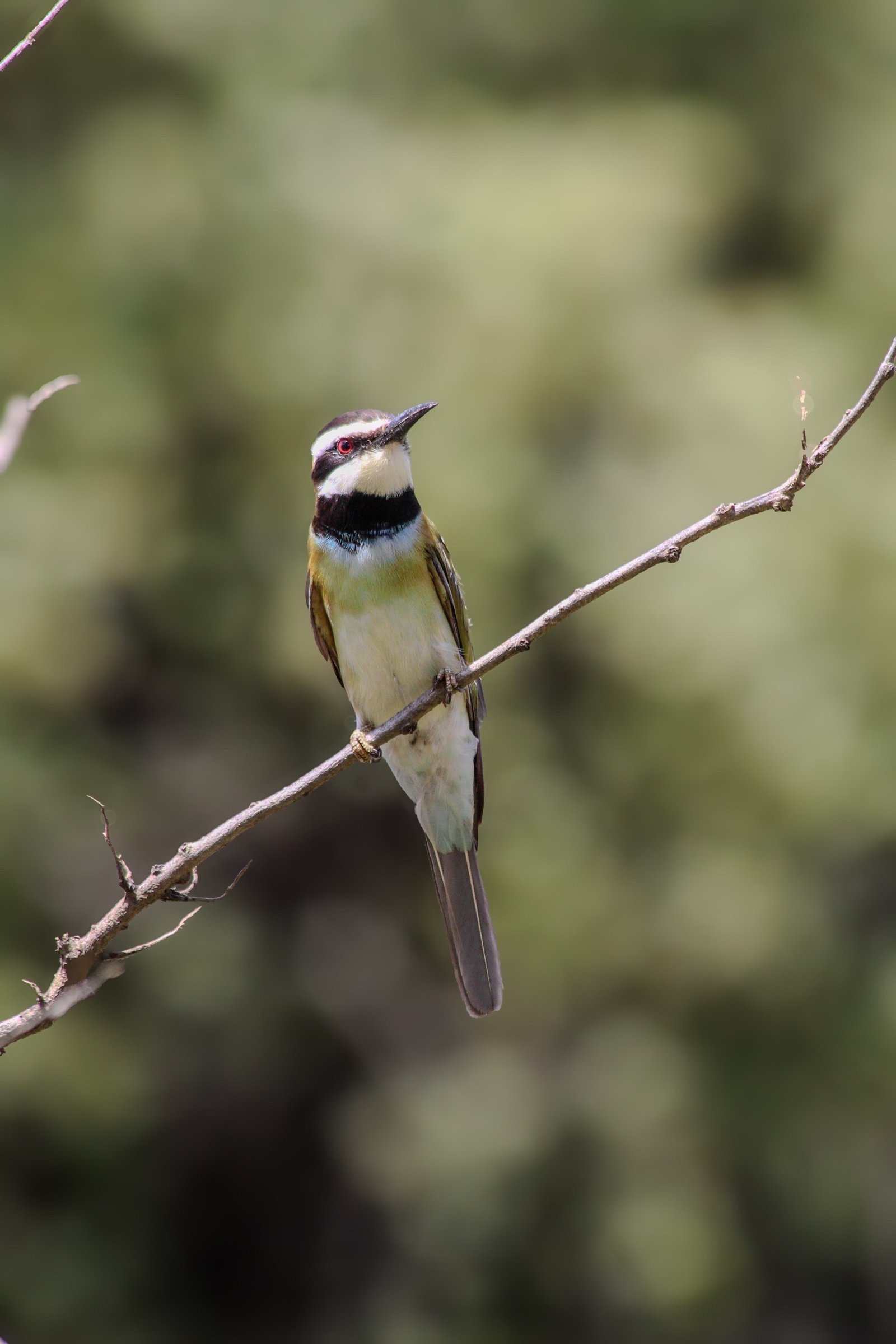 Tour Gallery Image 4