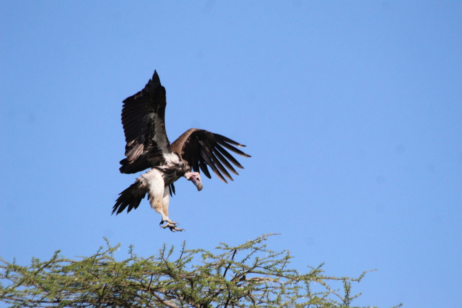 Tour Gallery Image 2