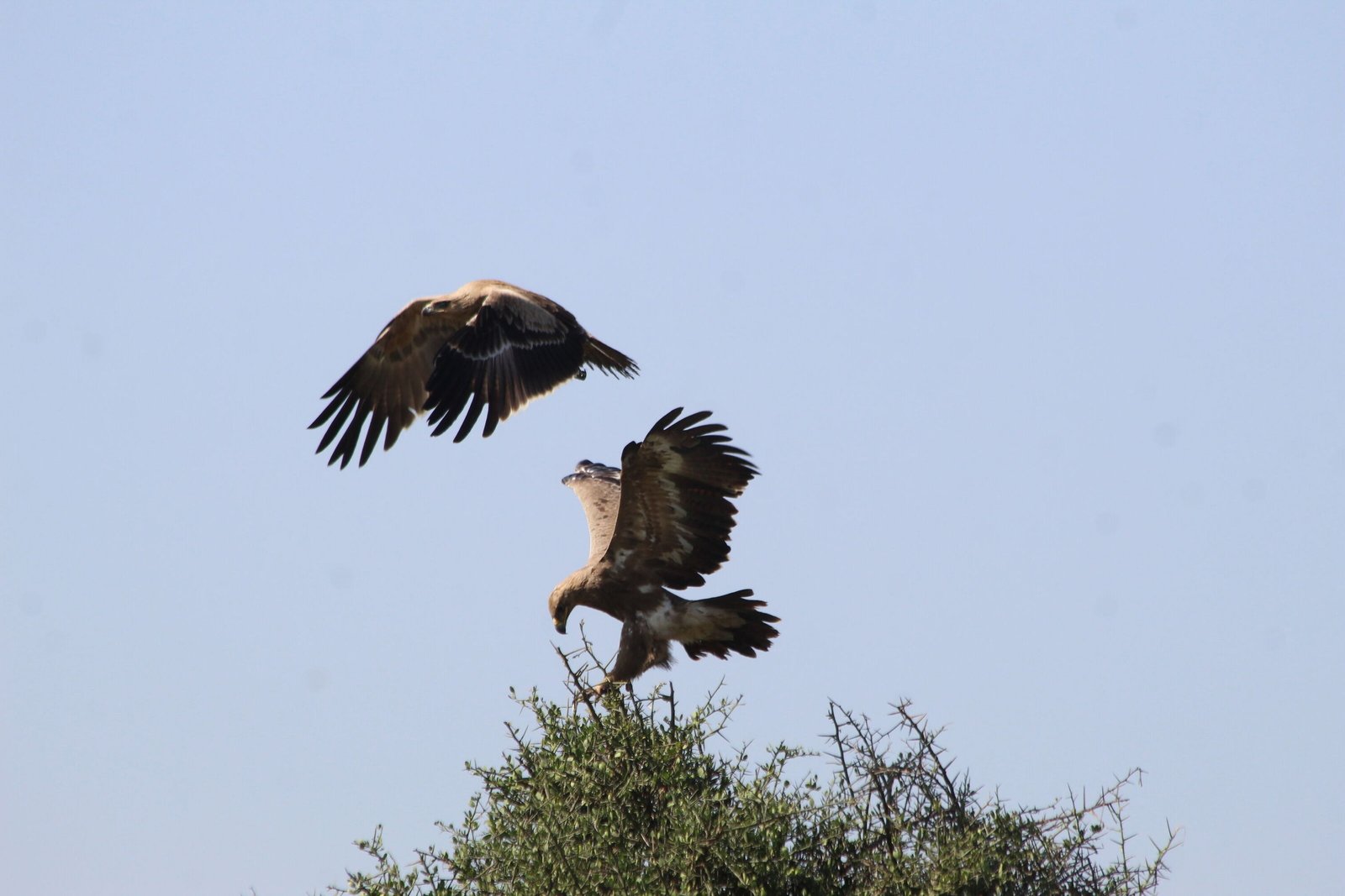 Tour Gallery Image 3