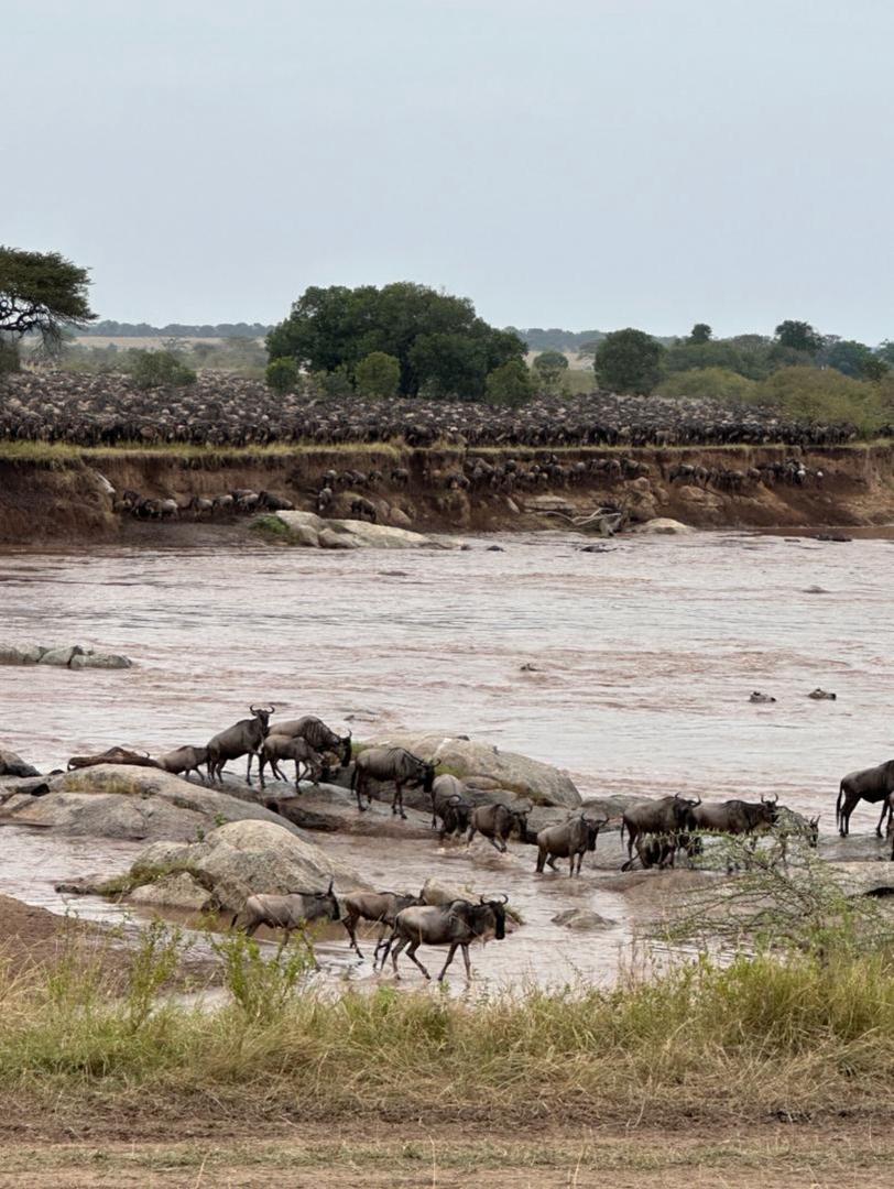2-Day Fly-in from Zanzibar to Tarangire & Ngorongoro gallery image