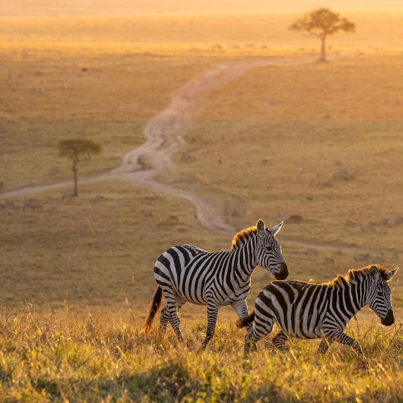 Kiliclimb Africa Safaris