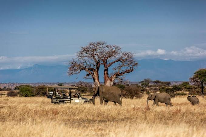 3-Day Fly in & out Zanzibar to Serengeti & Ngorongoro gallery image