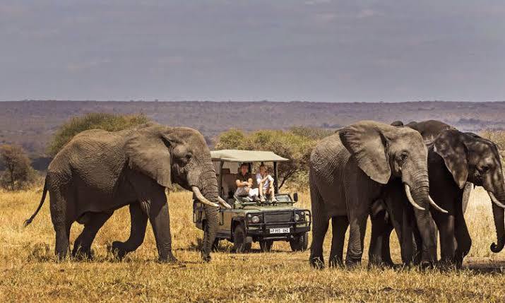 3-Day Fly in & out Zanzibar to Serengeti & Ngorongoro gallery image