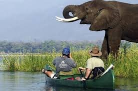 Tour Gallery Image 2