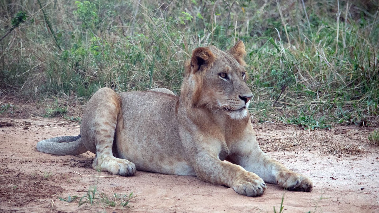 Tour Gallery Image 2