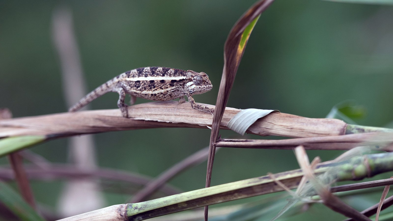 Tour Gallery Image 4