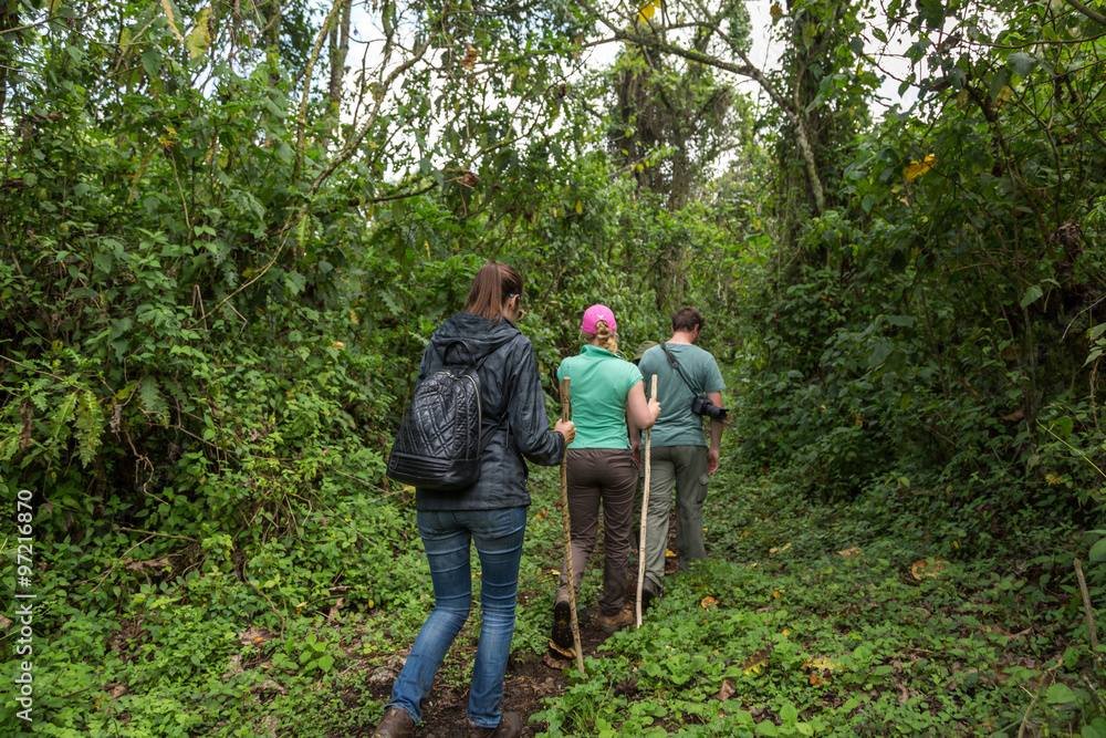 Naleyo Tours and Travels