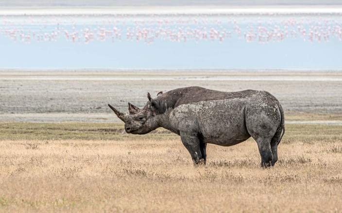 Tour Gallery Image 3