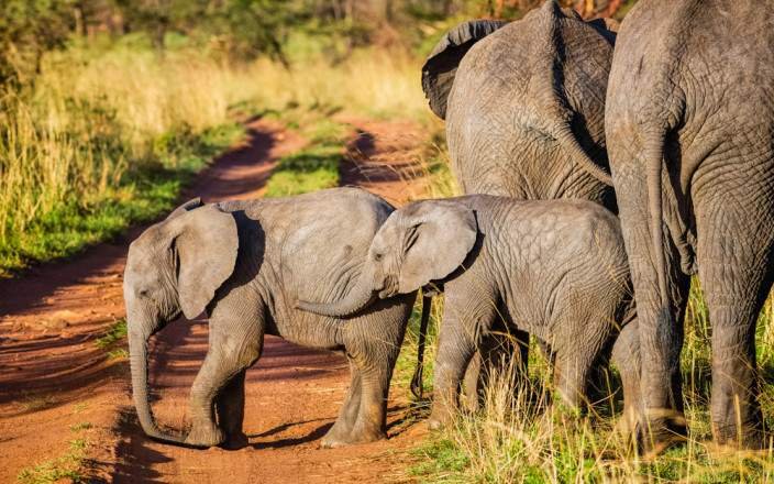 Tour Gallery Image 4