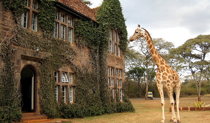 1-Day KAREN BLIXEN MUSEUM & GIRAFFE CENTRE TOUR. gallery image
