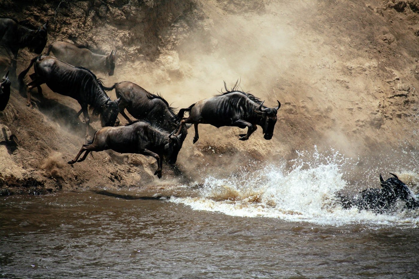 7-Day Luxury Safari All-Inclusive gallery image