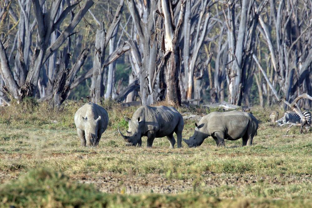 Tour Gallery Image 2