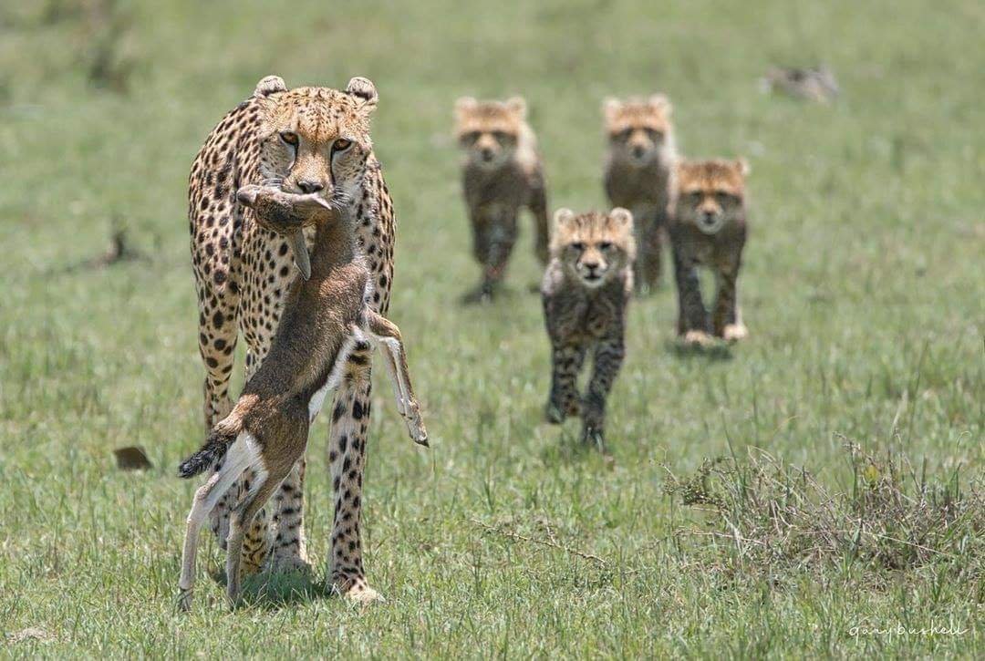 Tour Gallery Image 4