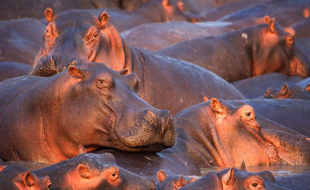 2-Day Memorable Adventure Safari gallery image