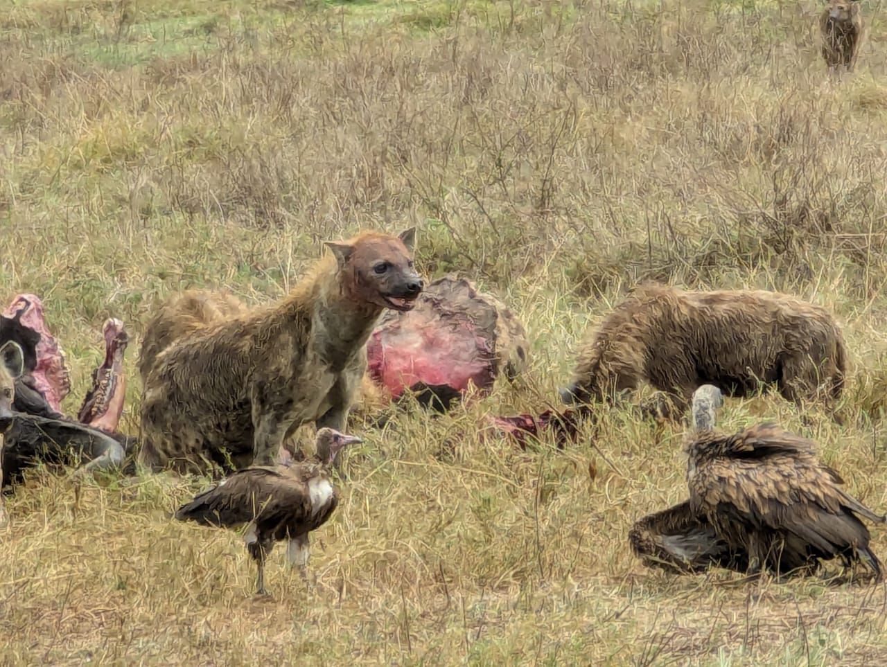 2-Day Memorable Adventure Safari gallery image