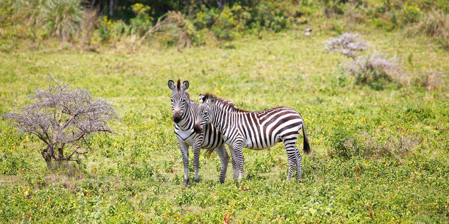 Tour Gallery Image 2