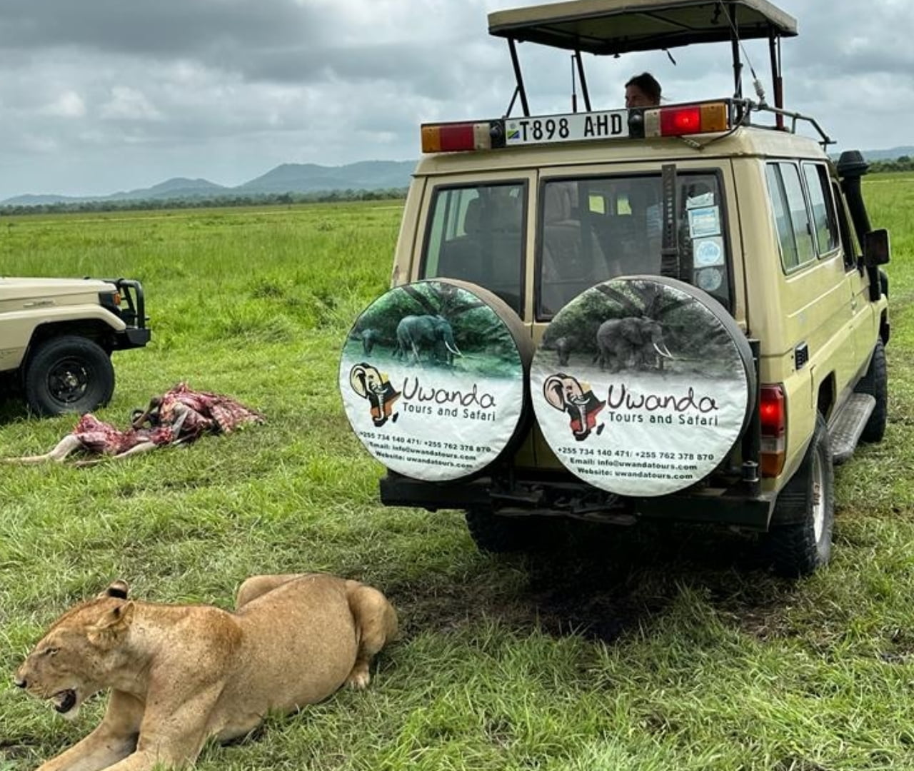 7-Day Mikumi to Nyerere NP + Udzungwa Hiking & Waterfall gallery image