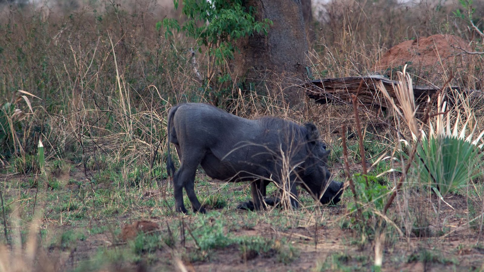 Tour Gallery Image 2