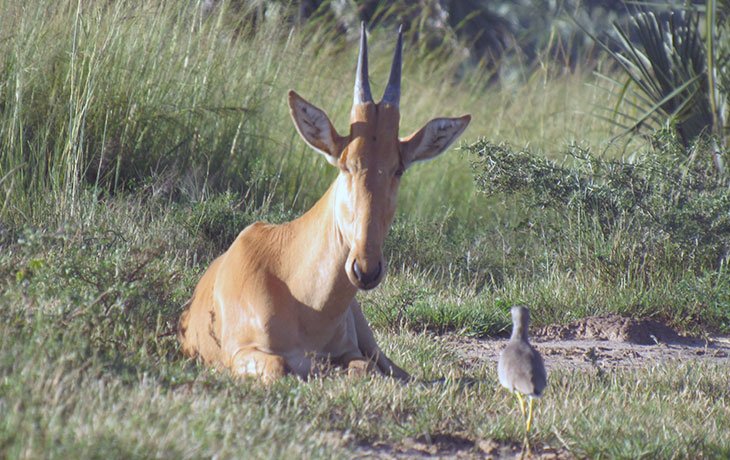 Tour Gallery Image 1