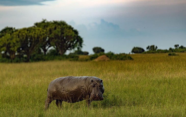 Tour Gallery Image 3