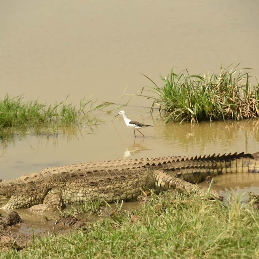 Tour Gallery Image 3