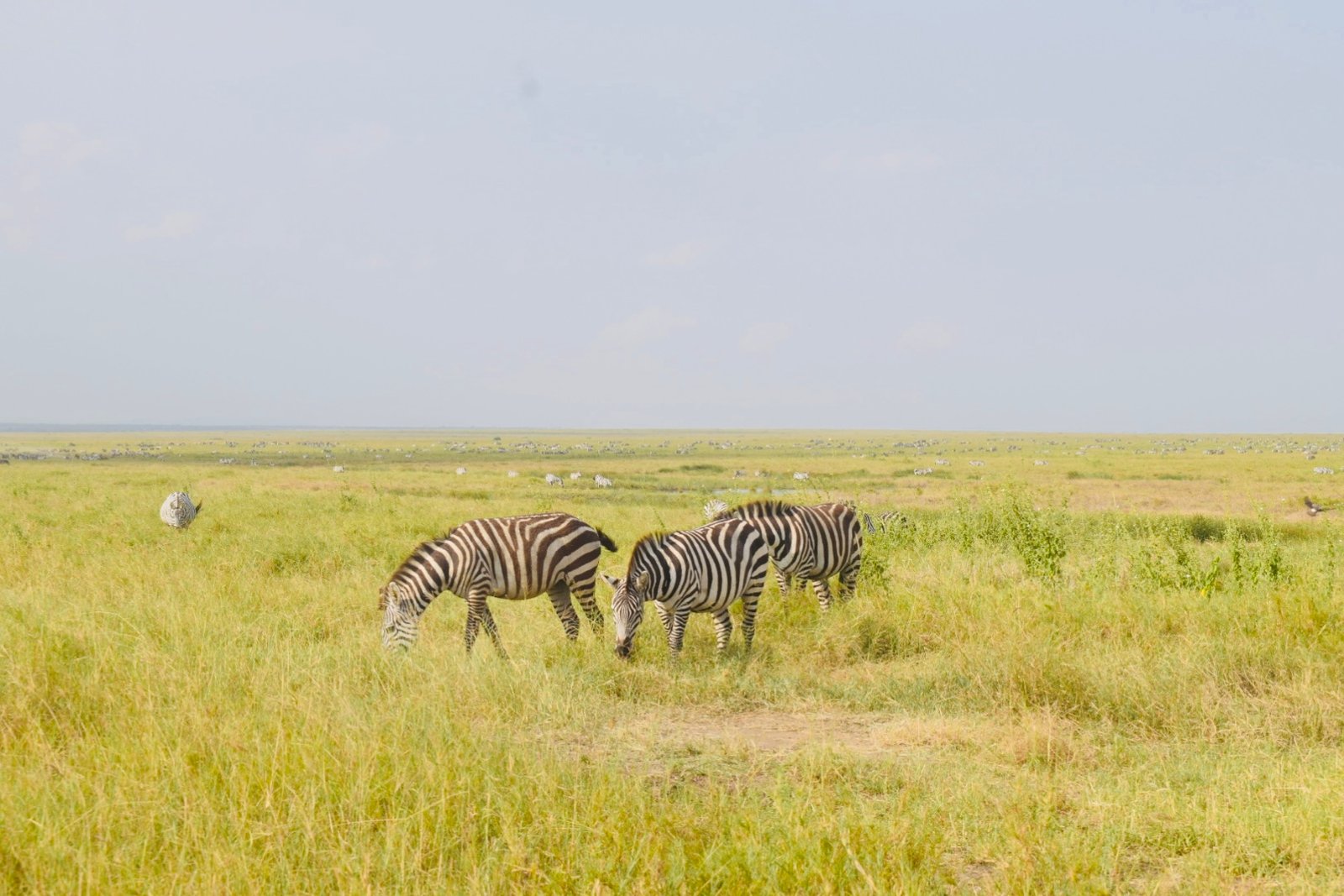 Tour Gallery Image 3