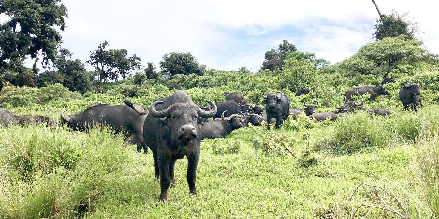 Tour Gallery Image 4