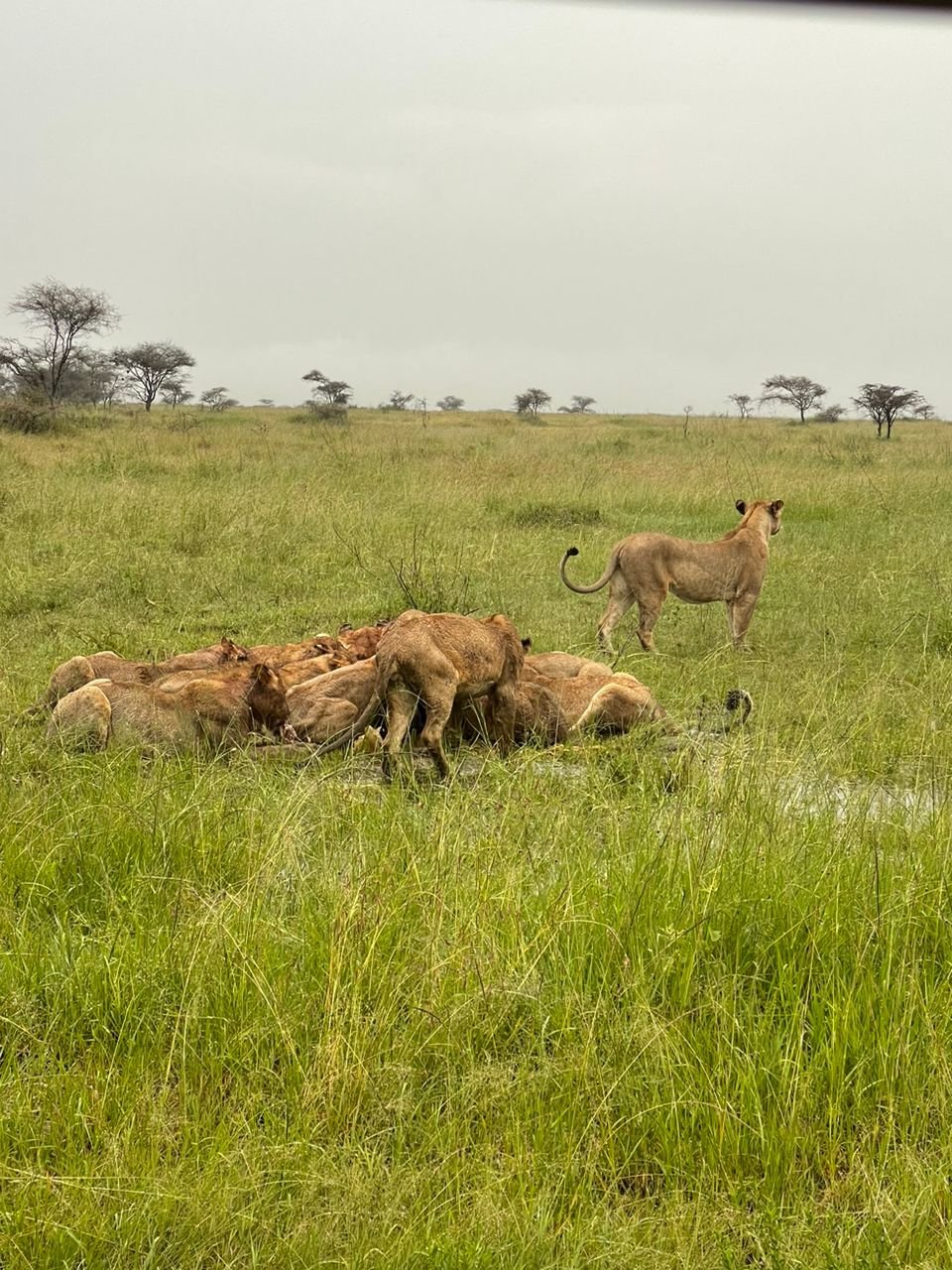 Tour Gallery Image 2