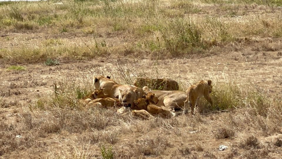 Tour Gallery Image 3