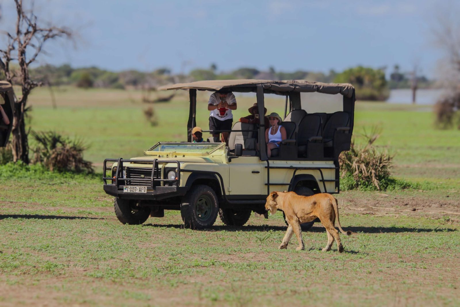 3-Day Nyerere National Park Game, Boat & Walking Safari gallery image