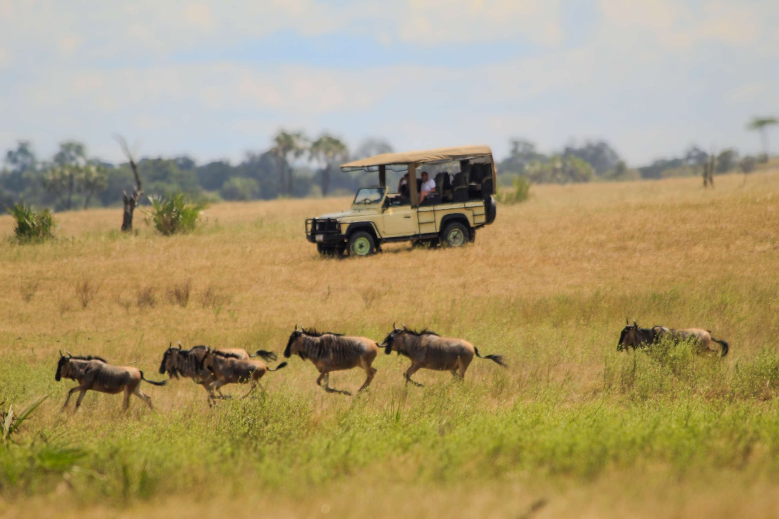 Tour Gallery Image 4