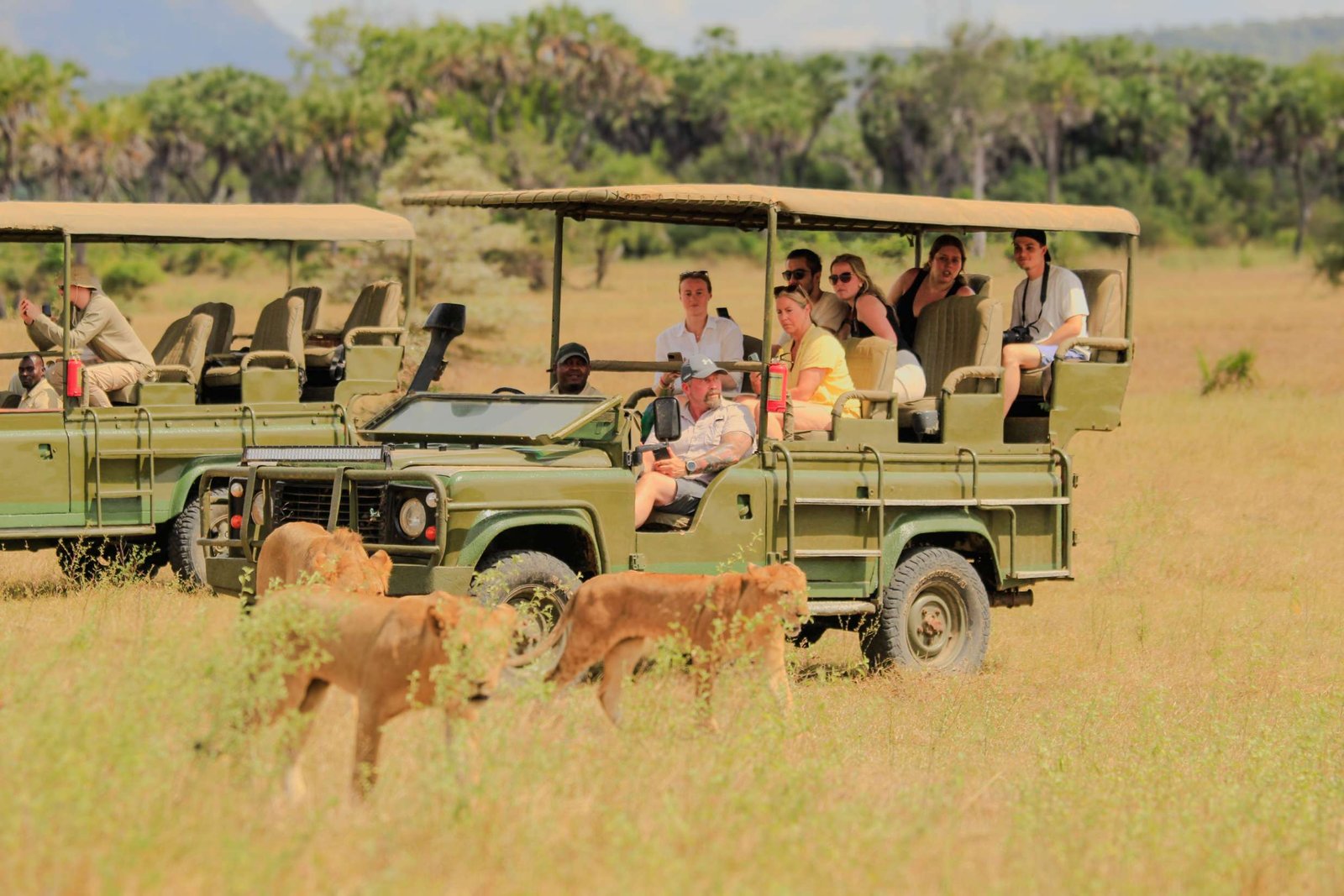 Nyerere National Park Game, Boat & Walking Safari  safari tour