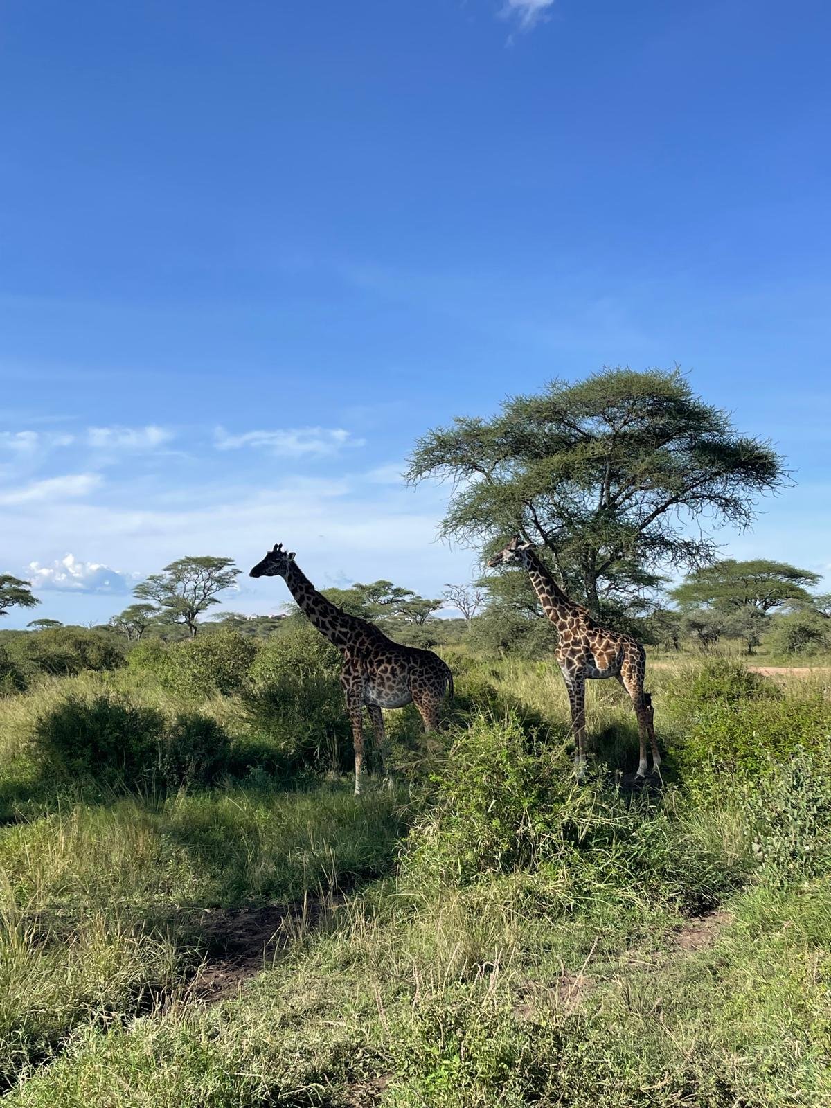 Tour Gallery Image 3