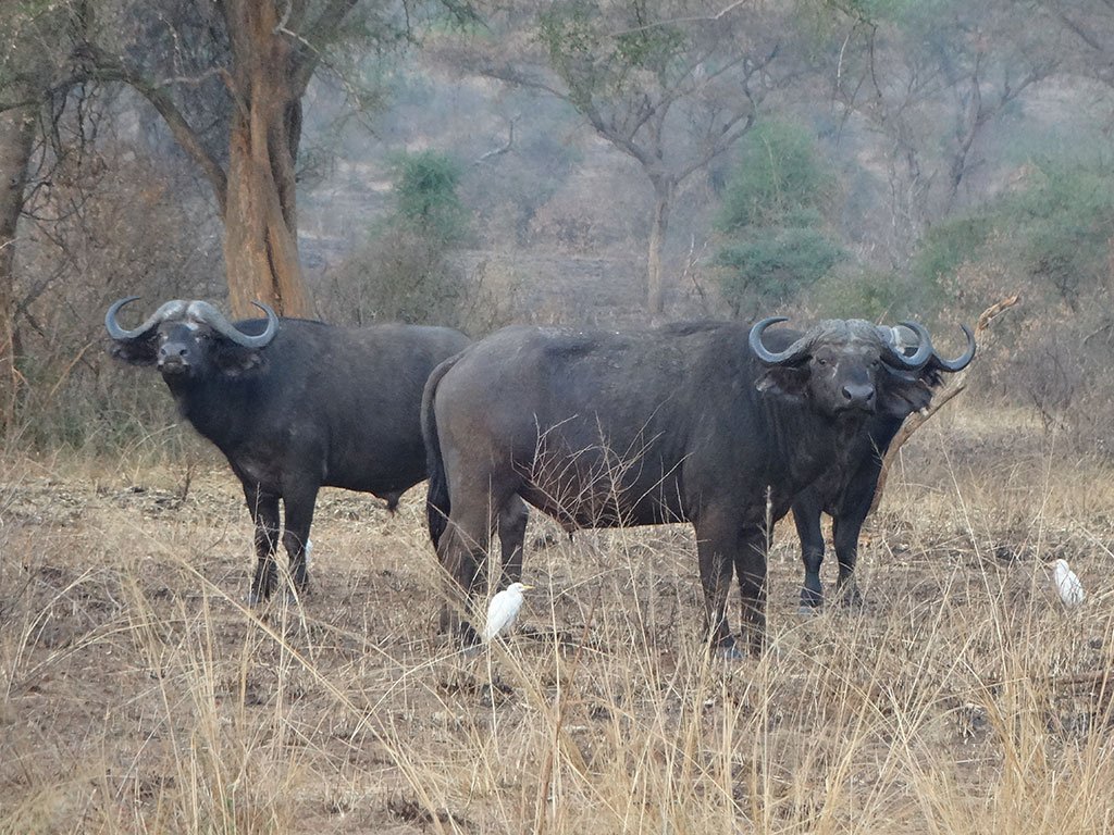 Tour Gallery Image 2