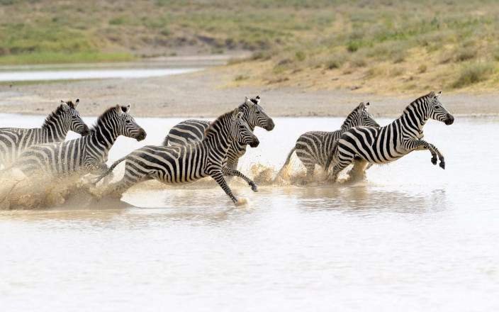 Tour Gallery Image 4