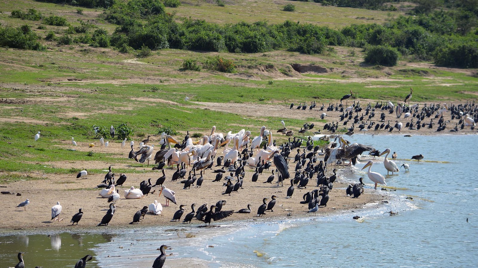 Tour Gallery Image 2