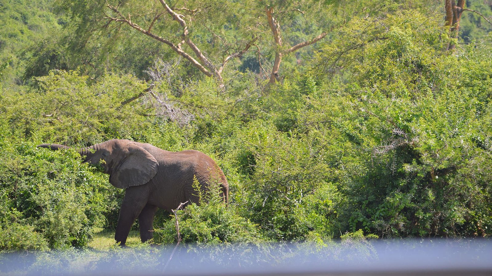 Tour Gallery Image 3