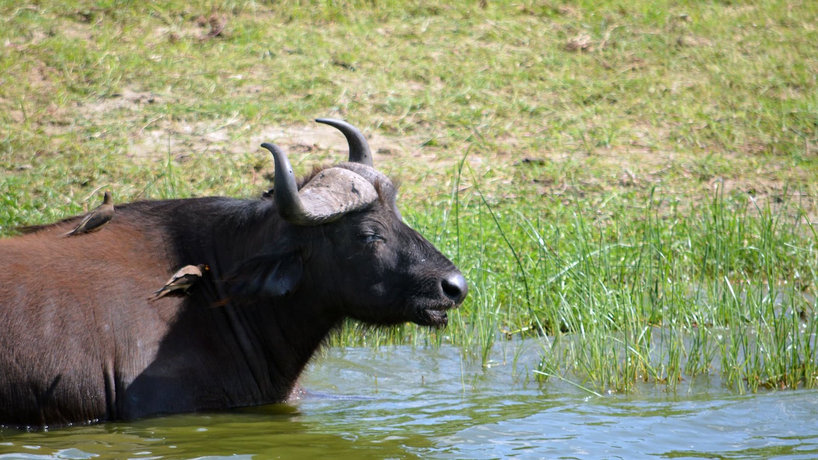 Tour Gallery Image 4