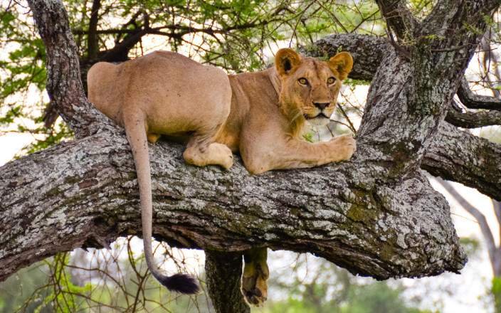 Tour Gallery Image 2