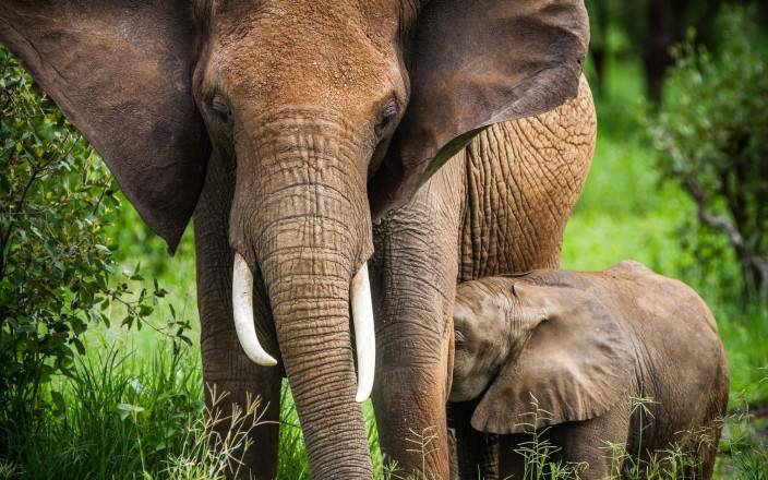 Tour Gallery Image 4