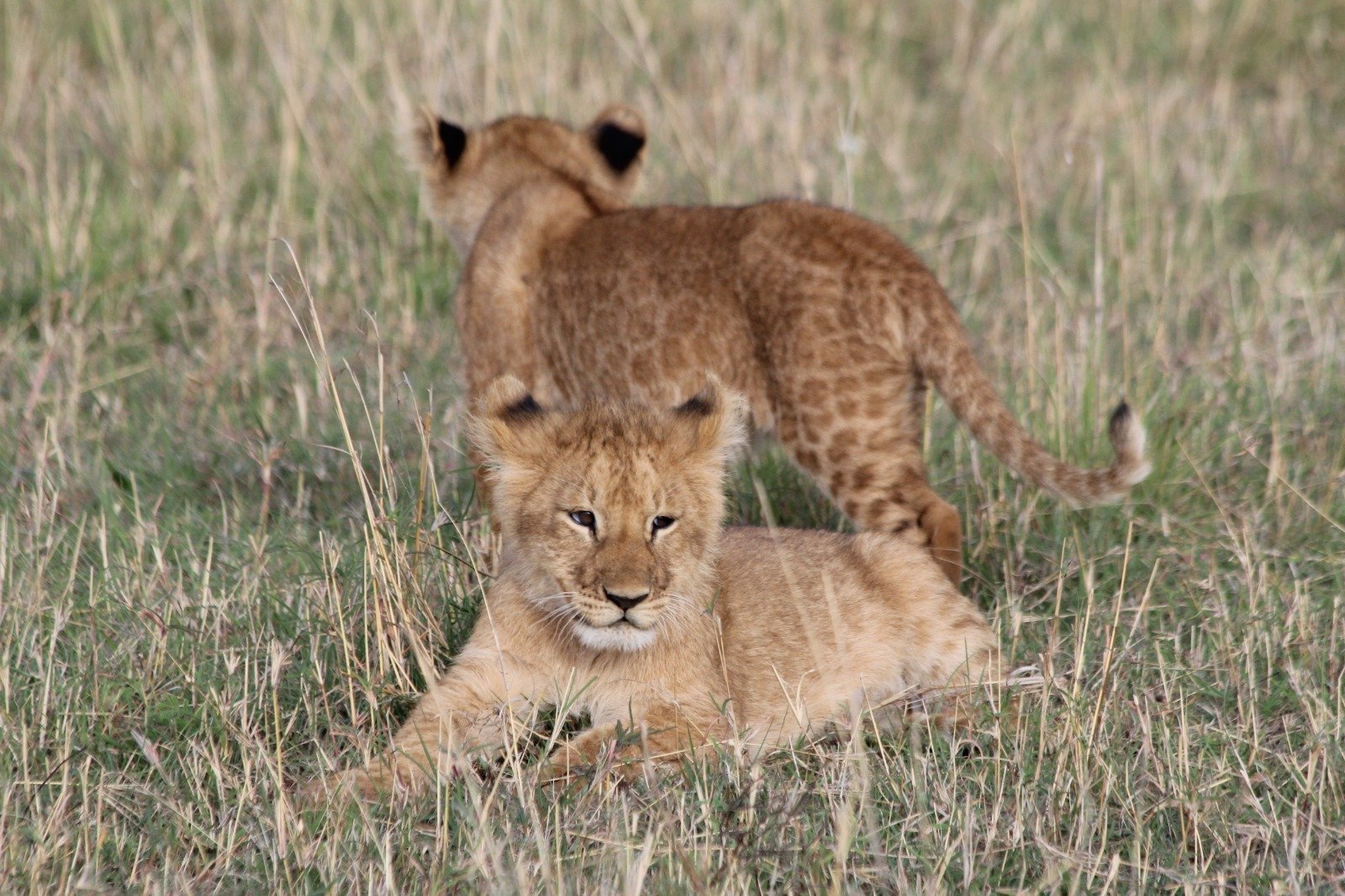 Tour Gallery Image 2