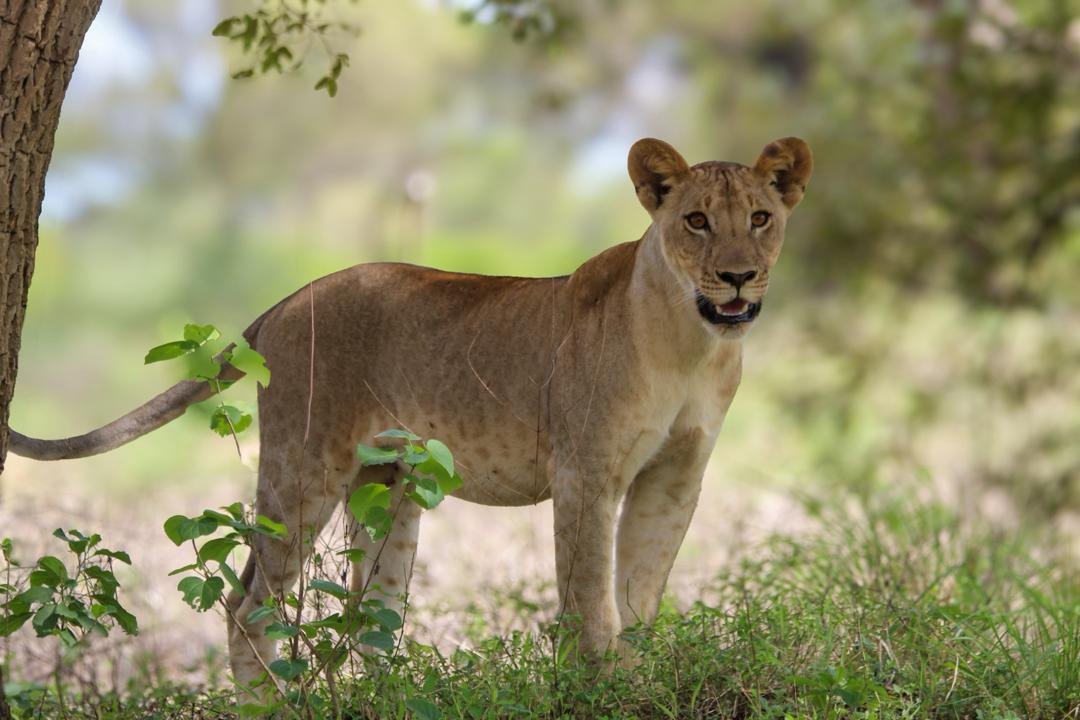 Tour Gallery Image 4