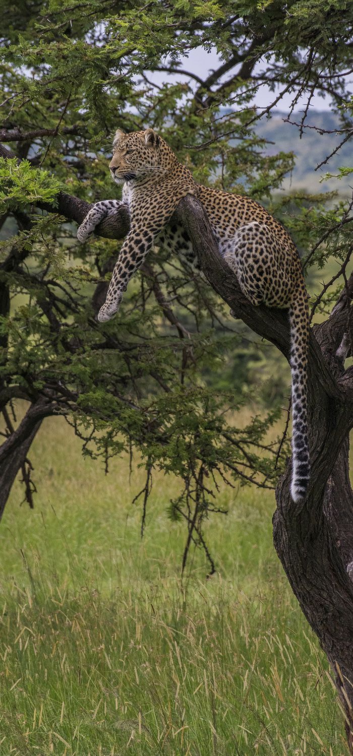 3-Day Safari dream voyage(nyerere national park) gallery image