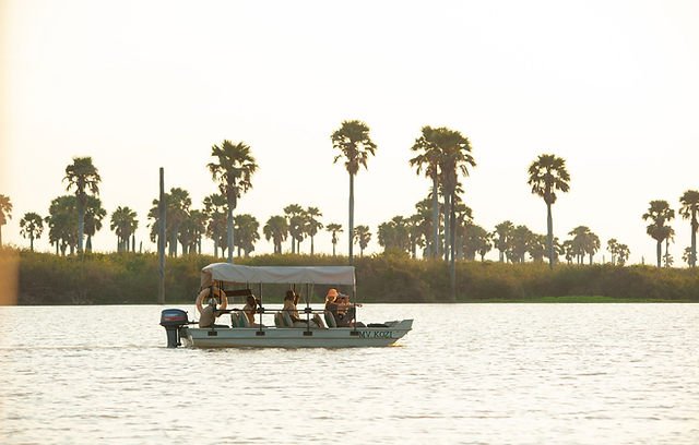 3-Day Safari dream voyage(nyerere national park) safari tour